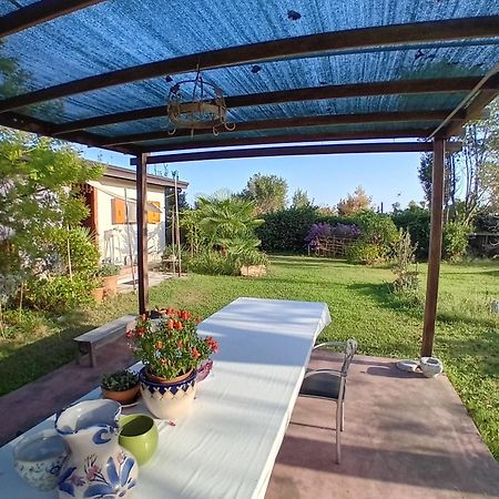 Laguna Di Venezia Isola Di S.Erasmo المظهر الخارجي الصورة